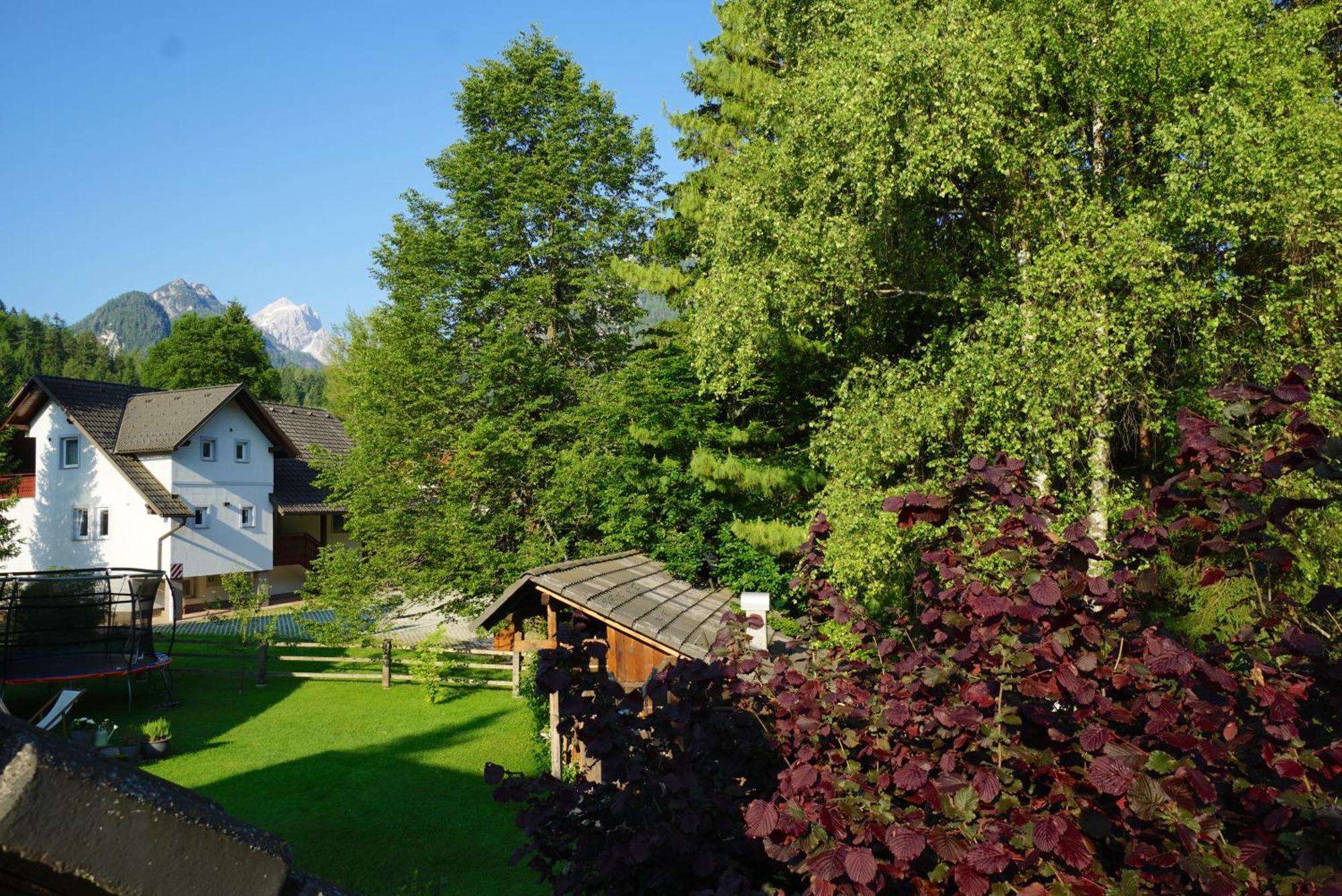 Apartma Zidan Kranjska Gora Εξωτερικό φωτογραφία